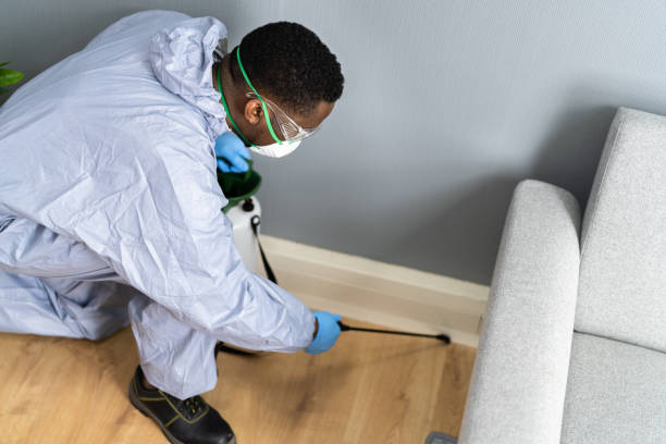 Best Commercial Pest Control  in Boulder Hl, IL